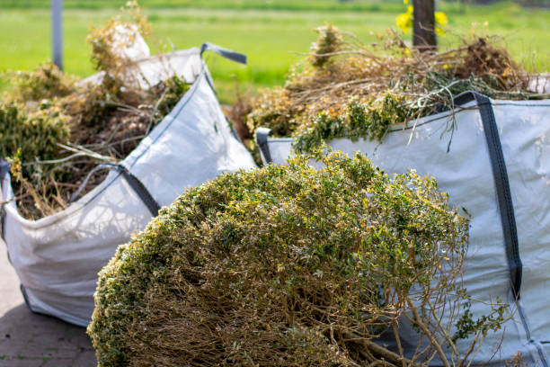 Best Basement Cleanout Services  in Marienville, PA